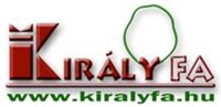 KIRÁLYFA KFT.